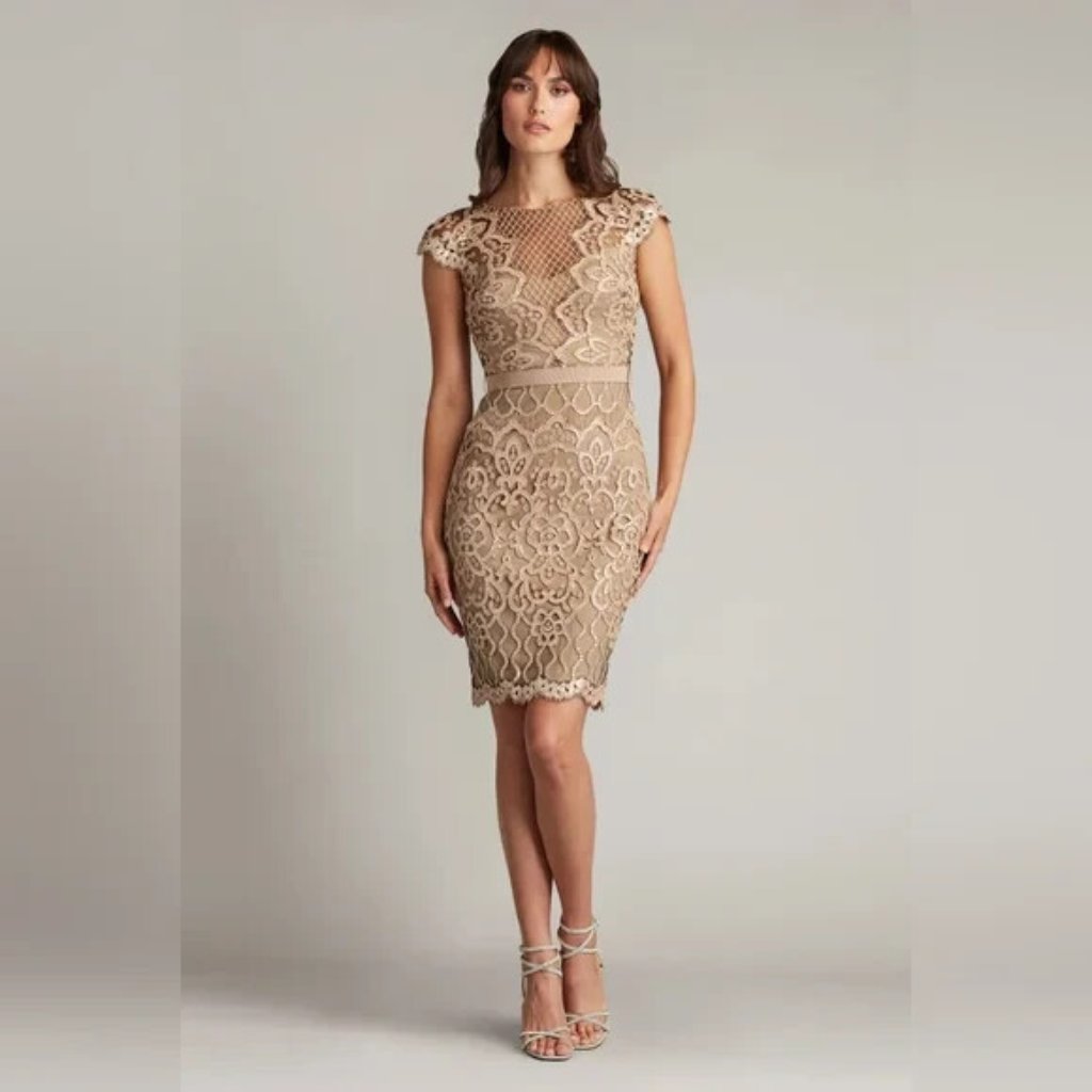 New Tadashi Shoji Sequin Lace Body-Con Cocktail Dress Ginseng Sz12/100%Authentic